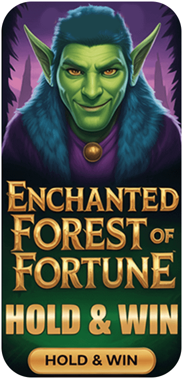 Enchanted Forest